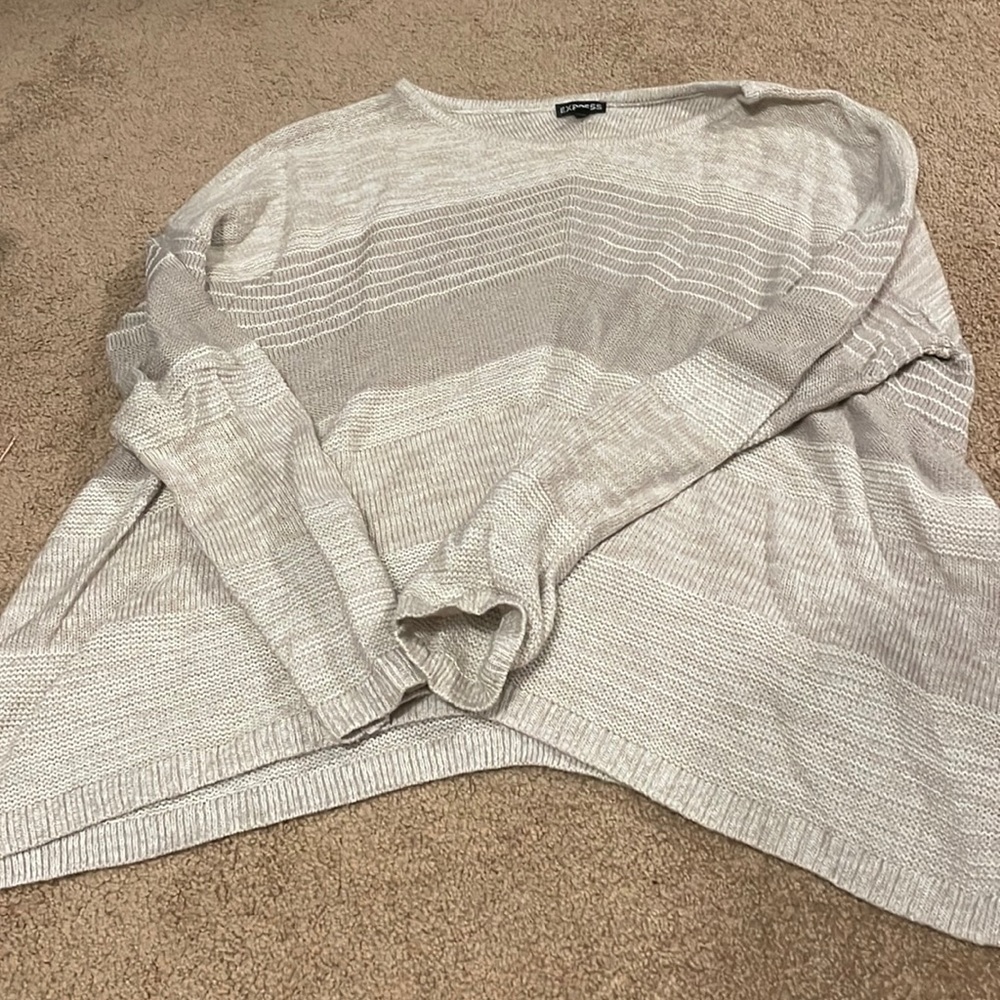 Express baggy sweater